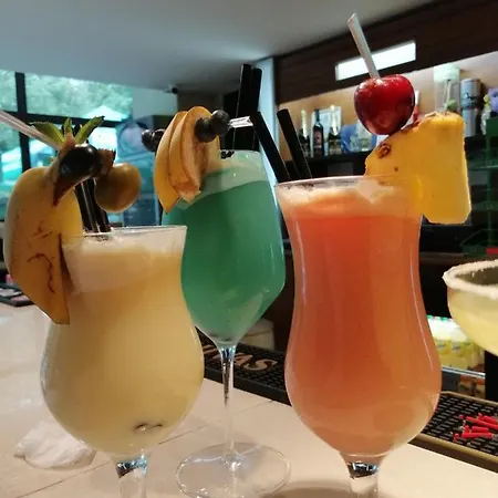 Hotel Perunika